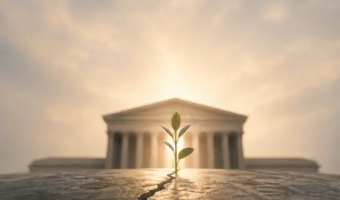Rediscovering the “Soul” of Government. Managing the Public’s Business from the Core of Meaning